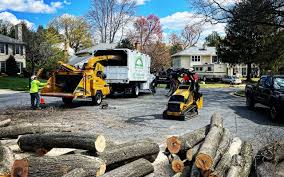 Best Commercial Tree Services  in Karnes City, TX